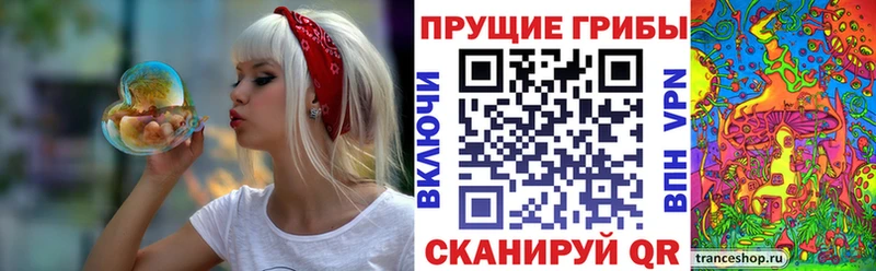цена наркотик  Горнозаводск  Галлюциногенные грибы Cubensis 